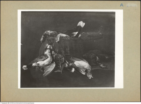 Vorderseite von bh199502_recto