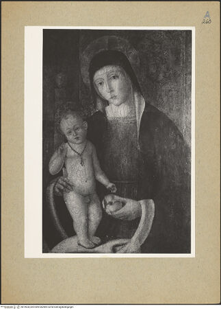 Vorderseite von bh199538_recto