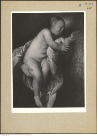 Vorderseite von bh199566_recto