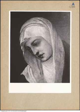 Vorderseite von bh199577_recto