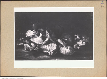 Vorderseite von bh199603_recto