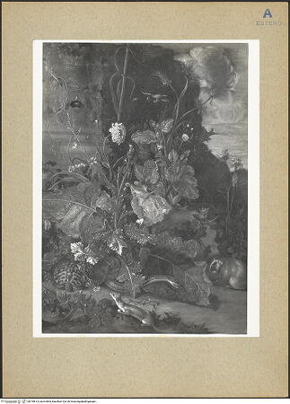 Vorderseite von bh199614_recto