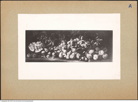 Vorderseite von bh199744_recto