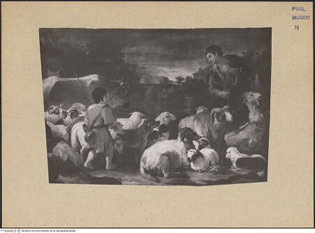 Vorderseite von bh200049_recto