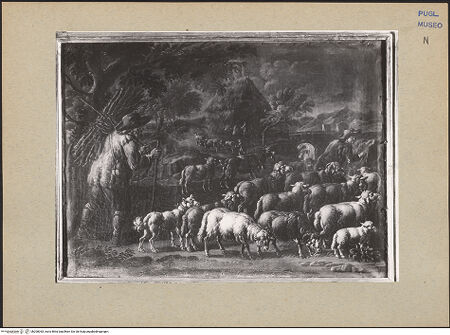 Vorderseite von bh200053_recto