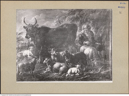 Vorderseite von bh200055_recto