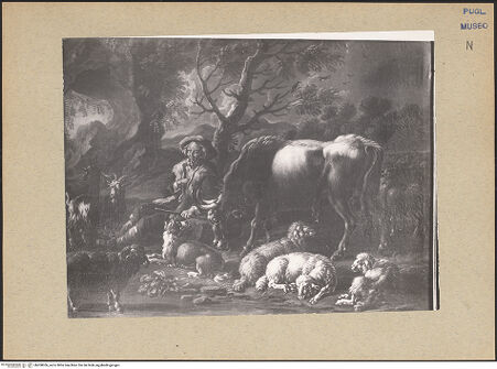 Vorderseite von bh200056_recto