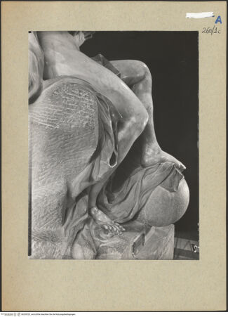 Vorderseite von bh200323_recto