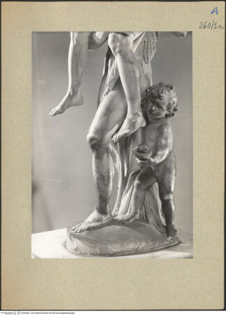 Vorderseite von bh200361_recto