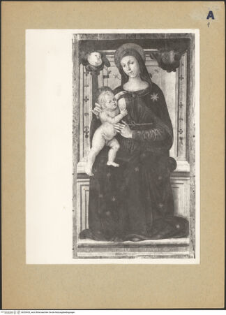 Vorderseite von bh200435_recto