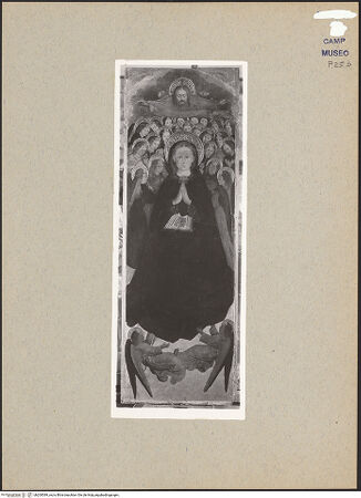 Vorderseite von Sopr. BAS NA [https://www.deutsche-digitale-bibliothek.de/content/lizenzen/rv-ez/] Retabel der Himmelfahrt Marias (Polittico dell'Assunzione)Himmelfahrt Marias - Gesamtansicht (während der Restaurierung), bh200589_recto. Foto.