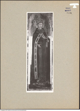 Vorderseite von Sopr. BAS NA [https://www.deutsche-digitale-bibliothek.de/content/lizenzen/rv-ez/] Retabel der Himmelfahrt Marias (Polittico dell'Assunzione)Heiliger Ludwig von Toulouse - Gesamtansicht (während der Restaurierung), bh200590_recto. Foto.
