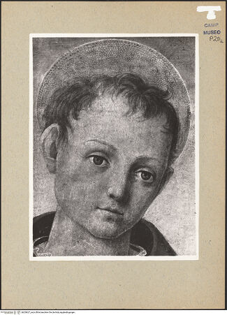 Vorderseite von Sopr. BAS NA [https://www.deutsche-digitale-bibliothek.de/content/lizenzen/rv-ez/] Thronende Madonna mit den heiligen Leonhard und Hieronymus? - Detail: Heiliger Leonhard (während der Restaurierung), bh200627_recto. Foto.