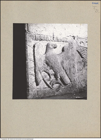 Vorderseite von Cimino, Cono (Teggiano) [https://www.deutsche-digitale-bibliothek.de/content/lizenzen/rv-ez/] Die vier Evangelistensymbole - Detail: Adler, bh200659_recto. Foto: Cimino, Cono.