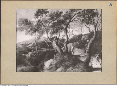 Vorderseite von bh200779_recto