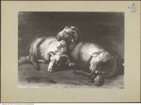 Vorderseite von bh200781_recto