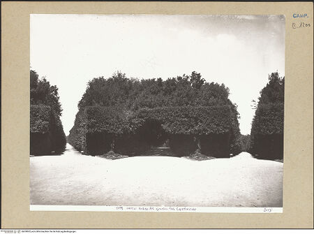 Vorderseite von Alinari [https://www.deutsche-digitale-bibliothek.de/content/lizenzen/rv-ez/] Palazzo Reale di CapodimonteParco e Bosco di Capodimonte - Ansicht, bh200902_recto. Foto.