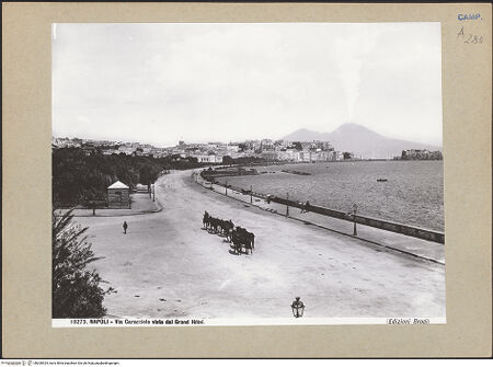 Vorderseite von Alinari [https://www.deutsche-digitale-bibliothek.de/content/lizenzen/rv-ez/] Via Francesco Caracciolo - Ansicht, bh200924_recto. Foto.