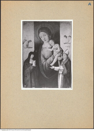 Vorderseite von bh201273_recto