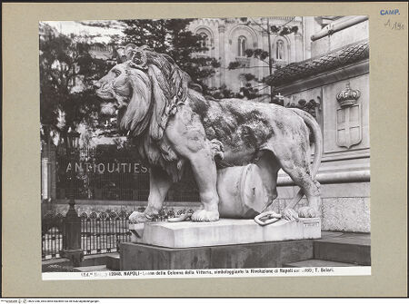 Vorderseite von bh201280_recto