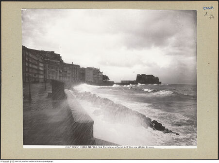 Vorderseite von bh201282_recto