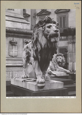 Vorderseite von bh201283_recto