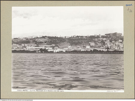 Vorderseite von bh201299_recto