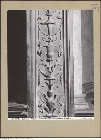 Vorderseite von Alinari [https://www.deutsche-digitale-bibliothek.de/content/lizenzen/rv-ez/] Dekoration der WändeWandpfeiler - Wandpfeiler 8, Detail mit Harpye, bh201309_recto. Foto.