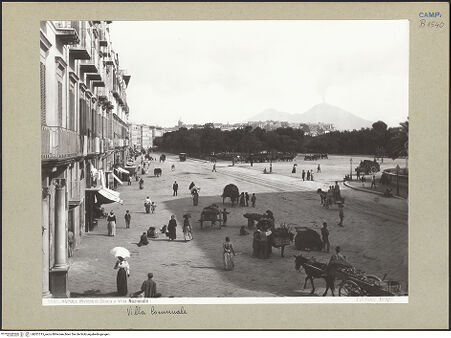 Vorderseite von Alinari [https://www.deutsche-digitale-bibliothek.de/content/lizenzen/rv-ez/] Villa Comunale - Ansicht, bh201315_recto. Foto.