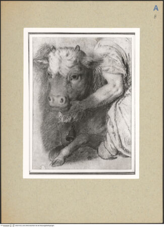 Vorderseite von bh201423_recto