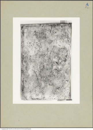 Vorderseite von bh201494_recto