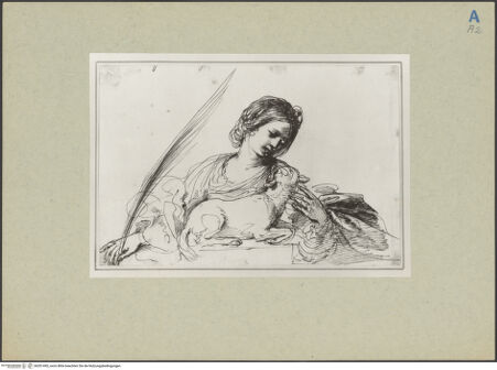 Vorderseite von bh201495_recto