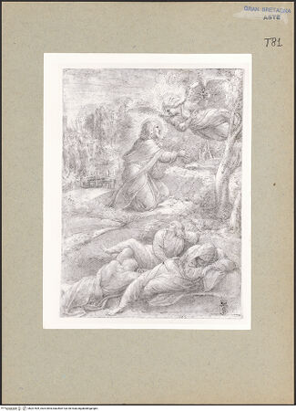 Vorderseite von bh201509_recto