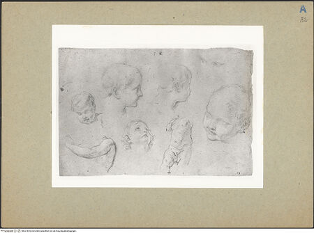 Vorderseite von bh201545_recto