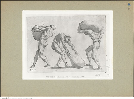 Vorderseite von bh201546_recto