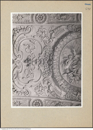 Vorderseite von Sopr. BAS NA [https://rightsstatements.org/page/CNE/1.0/] Sant'Agostino degli Scalzi - Langhaus, Gewölbe, Detail, Innenausstattung, bh201642_recto. Foto.