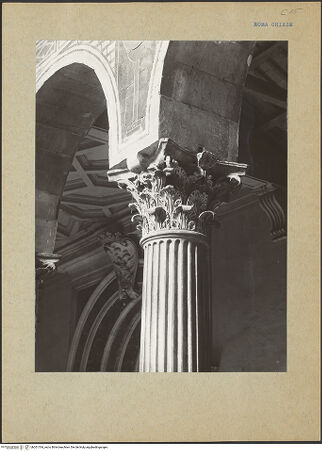 Vorderseite von bh201764_recto