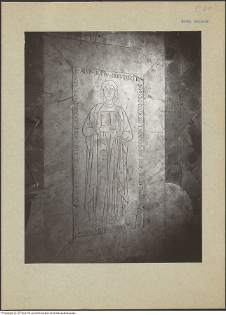 Vorderseite von bh201766_recto