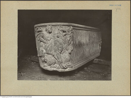 Vorderseite von bh202071_recto