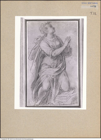 Vorderseite von bh202164_recto