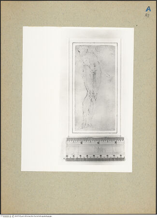 Vorderseite von bh202182_recto