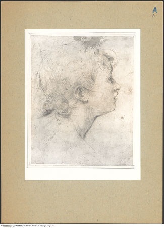 Vorderseite von bh202185_recto