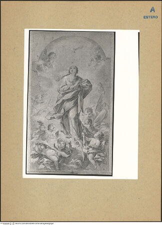 Vorderseite von bh202187_recto