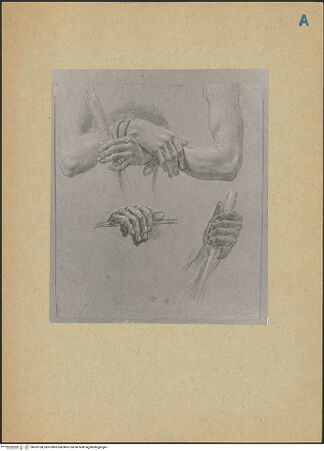 Vorderseite von bh202188_recto