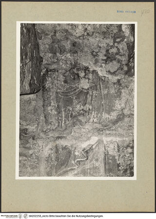 Vorderseite von bh202255_recto