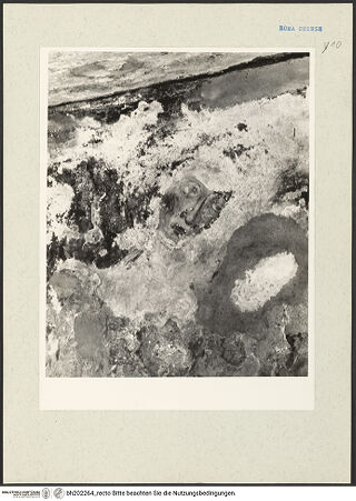 Vorderseite von bh202264_recto