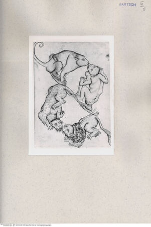 Vorderseite von  [http://creativecommons.org/publicdomain/mark/1.0/] Buchstabe - , bh202456. Foto.