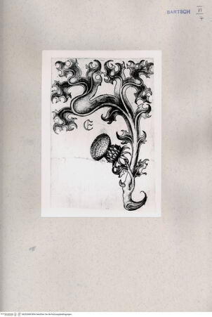 Vorderseite von  [http://creativecommons.org/publicdomain/mark/1.0/] ... - , bh202468. Foto.