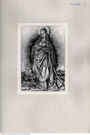 Vorderseite von  [http://creativecommons.org/publicdomain/mark/1.0/] ... - , bh202523. Foto.