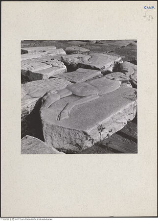 Vorderseite von Bibliotheca Hertziana [https://www.deutsche-digitale-bibliothek.de/content/lizenzen/rv-fz/] Steinblock mit dem Relief eines Pferdes - Gesamtansicht, bh202732_recto. Foto: Lehmann-Brockhaus, Otto.